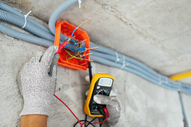Best Licensed Electrician  in Charlevoix, MI